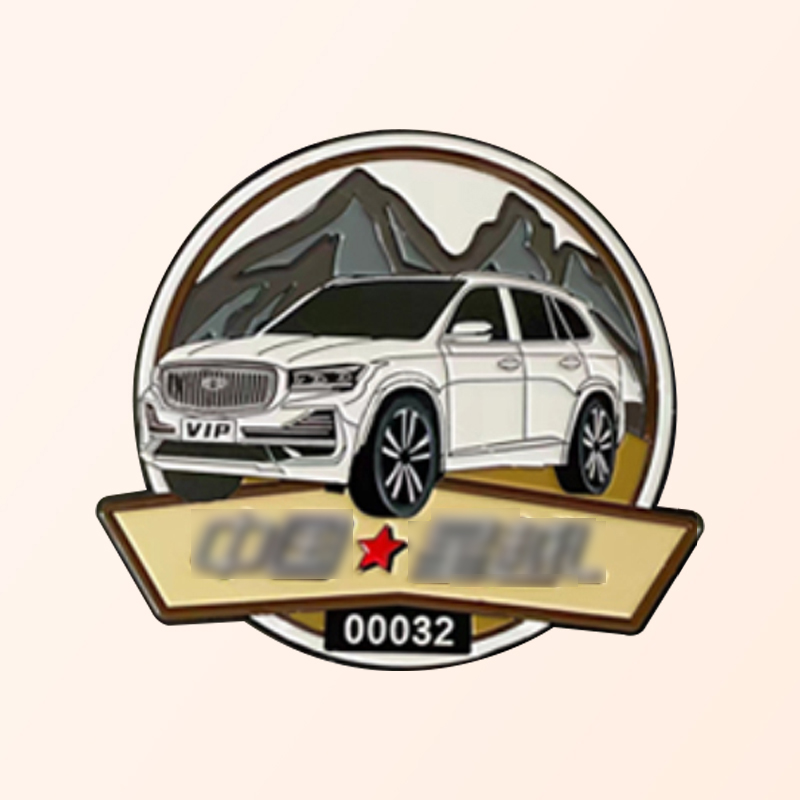Car logo customization