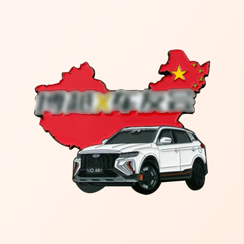Car logo customization