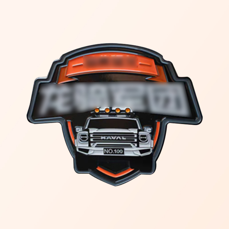 Car logo customization