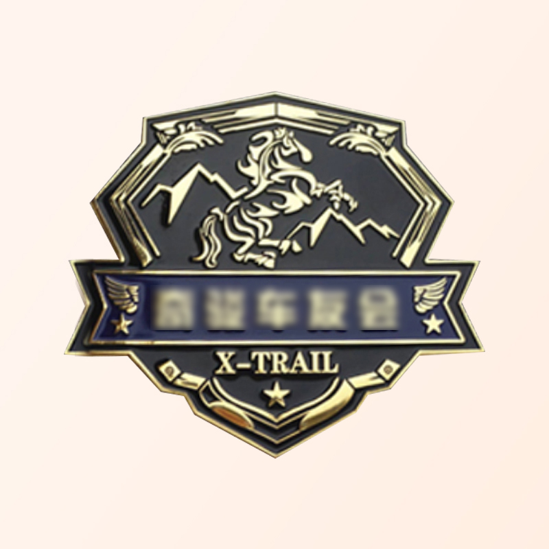 Car logo customization